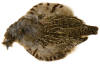 Partridge Complete Skin Hends | CzechNymph.com